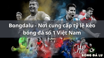 Tại sao không có người dùng rời bỏ Bongdalu | bongdalu-vip.com?
