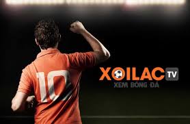 Xoilac-tv.click: Xem bóng đá đỉnh cao, miễn phí mọi lúc mọi nơi